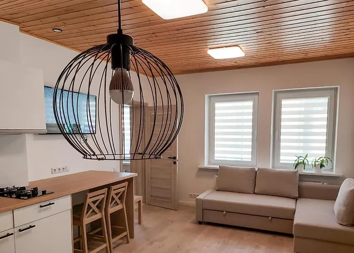 Irenos Svetaine Проживание в семье *