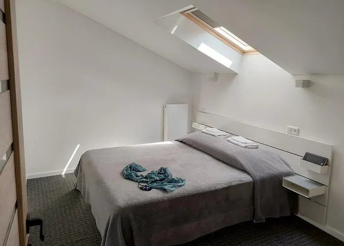 伊雷娜斯威特内民宿 民宿