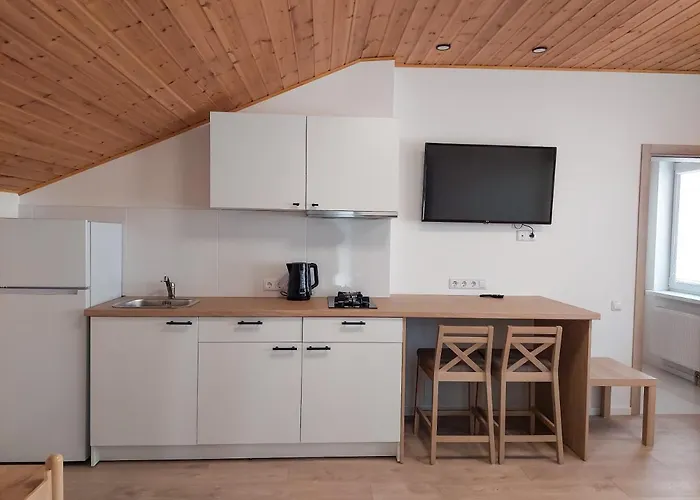 Проживание в семье Irenos Svetaine *