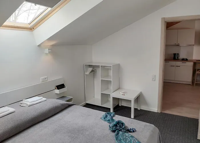 民宿 伊雷娜斯威特内民宿 *