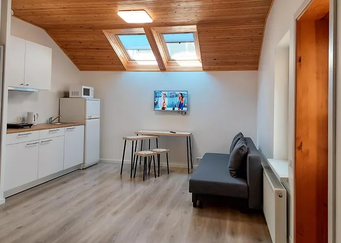 民宿 伊雷娜斯威特内民宿 帕兰加