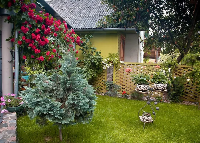 伊雷娜斯威特内民宿 *