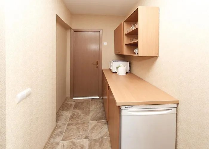 Проживание в семье Irenos Svetaine *