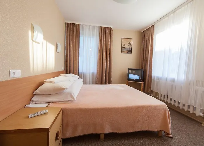 民宿 伊雷娜斯威特内民宿 *