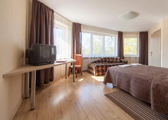 伊雷娜斯威特内民宿