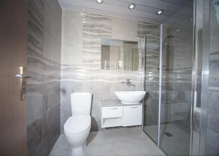 Проживание в семье Irenos Svetaine